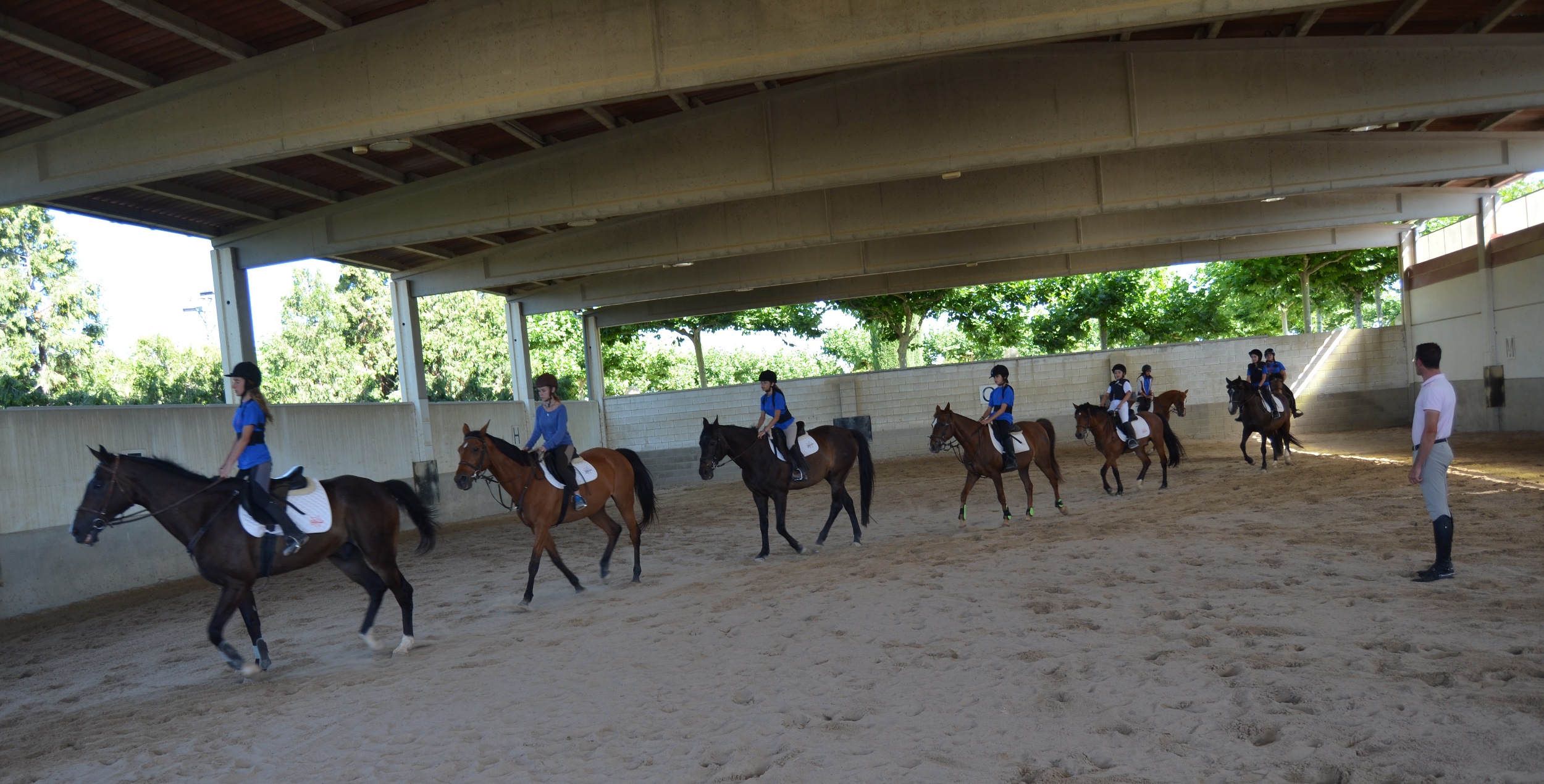 H  pica Champion Horse Lleida
