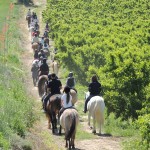 EXCURSIÓN HÍPICA + DESAYUNO CAMPESTRE
