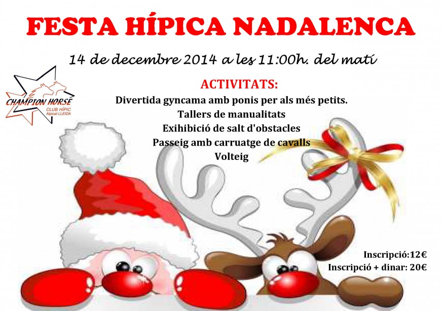 FESTA DE NADAL14