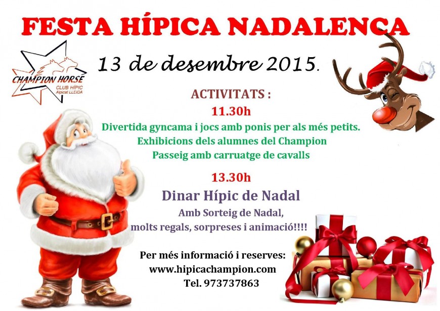 CARTELL NADAL 2015 web