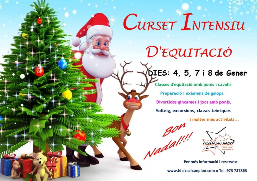 Curset intensiu de nadal 2015 ok