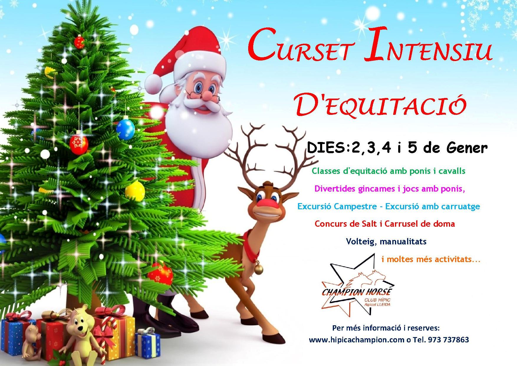 CAMPUS D'EQUITACIÓ NADAL 2017