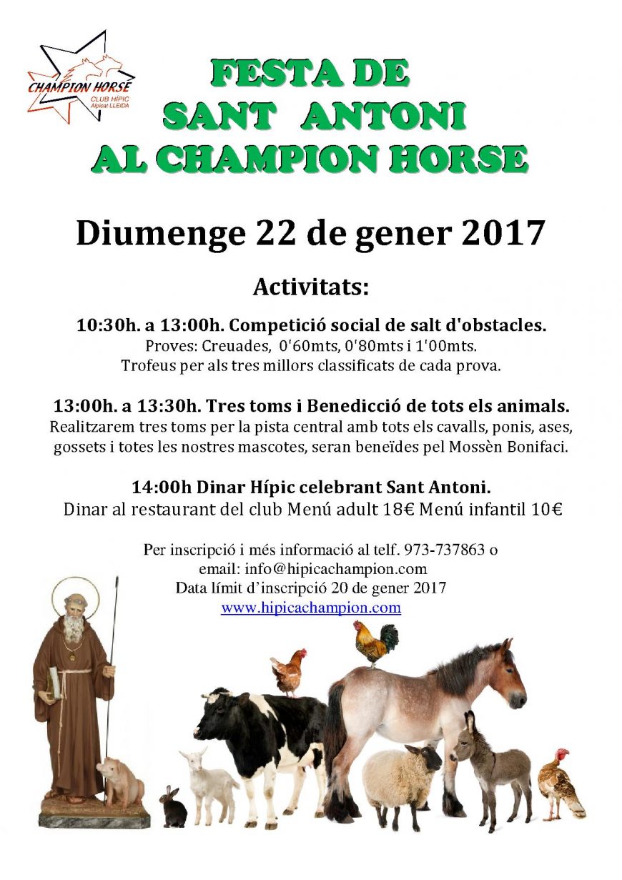 festa de sant antoni 2017