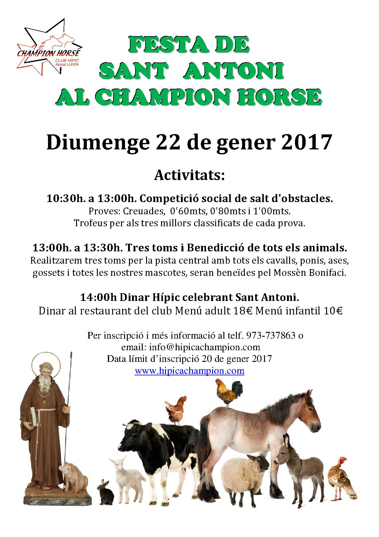 FESTA DE SANT ANTONI ABAD AL CHAMPION HORSE