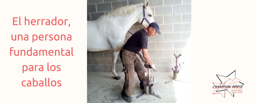 El herrador, una persona fundamental para los caballos