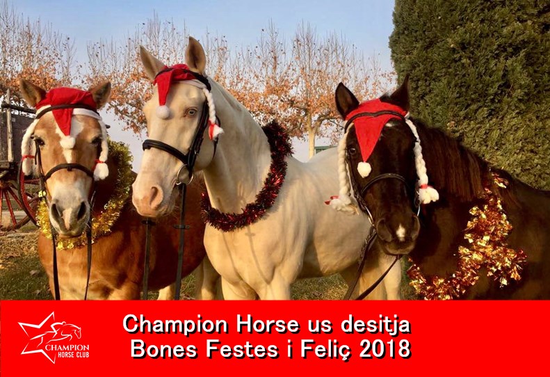 FELICITACIO NADAL 2018 5