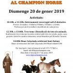 Festa de Sant Antoni i Benedicció dels animals