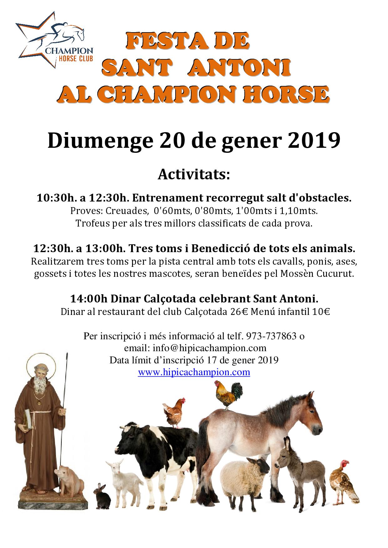 Festa de Sant Antoni i Benedicció dels animals