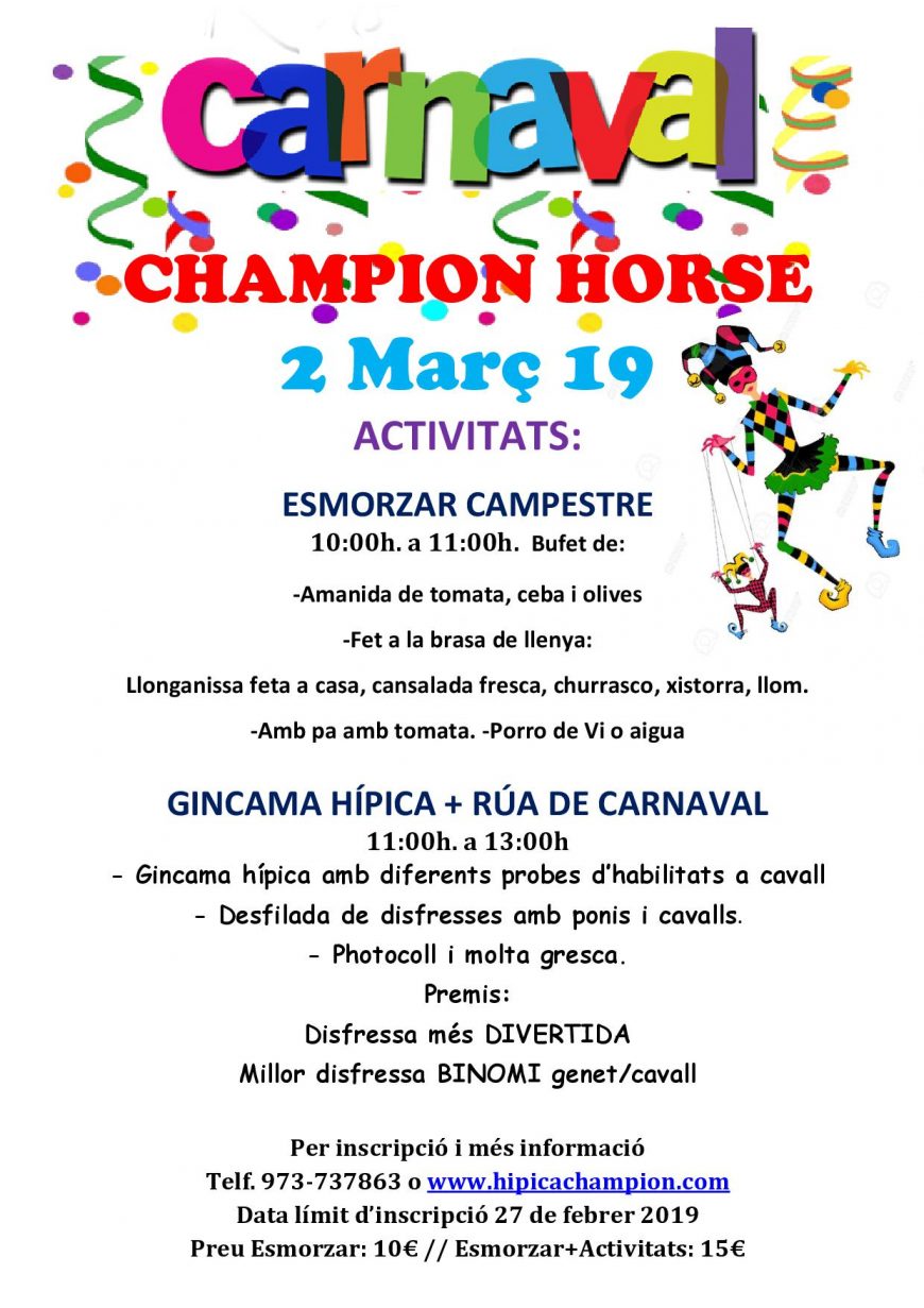 cartell carnavall 2019 2