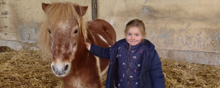 596293073_1557211446404465_330630707187687786_n